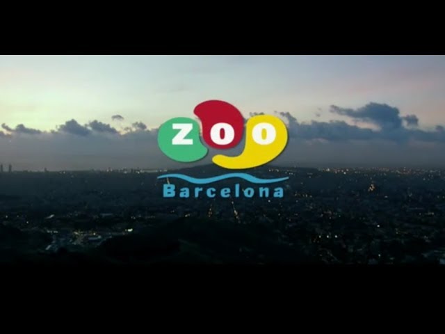 Coneix el Zoo de Barcelona